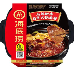 海底捞 麻辣嫩牛自热火锅435g