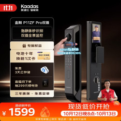 凯迪仕 P11ZF Pro 双摄版 智能电子锁 幻影黑