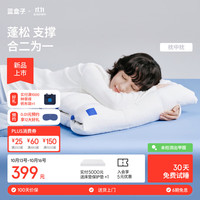 蓝盒子 枕中枕N3记忆棉枕头成人深睡枕护颈枕新品抗菌防螨慢回弹10/12cm