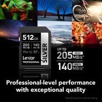 雷克沙 512GB V30 专业级SDXC存储卡 适合摄影师