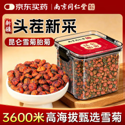 南同九坊 南京同仁堂 昆仑雪菊胎菊 菊花茶