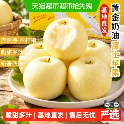 于甄鲜 正宗山东黄金奶油富士苹果 中果75mm+ 4.5斤