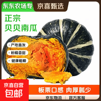 正宗新鲜贝贝南瓜健康粗粮蔬菜生鲜宝宝辅食 贝贝南瓜健康粗粮宝宝辅食含箱 500g