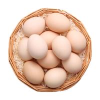 普野 富硒叶黄素 土鸡蛋