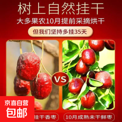 京喜 新疆大枣 100g*1袋 特惠装