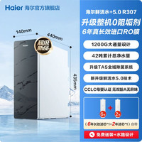 海尔 0阻垢鲜活水+5.0净水器家用直饮厨房净水机R307