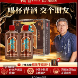洞藏青酒传承10纯粮酱香型白酒53%Vol  500ml*2 瓶