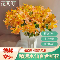 花间町 云南鲜花水仙百合六出1束鲜花花束橙色基地直发装饰插花源头直发