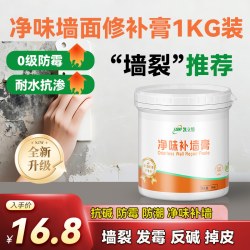 KABWP 凯立特补墙膏膏白色腻子粉乳胶漆墙壁修复