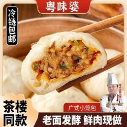 粤味婆 正宗广式早茶鲜肉小笼包子  8个/包 8包到手64个