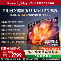 海信 小墨系列 55E5S 液晶电视 55英寸