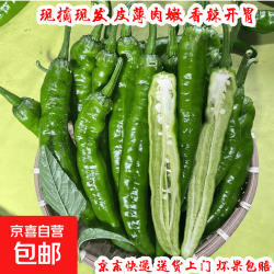 湖南 新鲜薄皮青椒 1斤±0.1斤