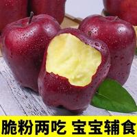 花牛蛇果 粉面口感 新鲜苹果