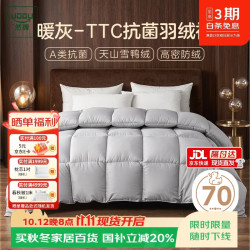 然牌 羽绒被鸭绒 A类加厚保暖冬季被子被芯 填充1300g 220x240cm 暖灰