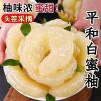 福建白玉蜜柚