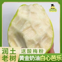 胡鲜森 福建漳州软心土芭乐白心番石榴新鲜水果单果150g起