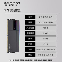 阿斯加特 DDR5 6400 台式机内存条