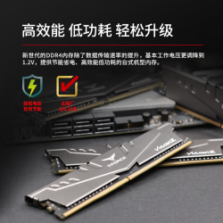 GeIL/金邦 狂速EVO Potenza系列 超频 台式电脑内存  16GB