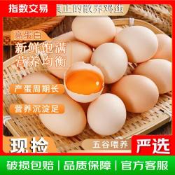 臻选鲜鸡蛋 约40g/枚 30枚净重不低于2.4斤