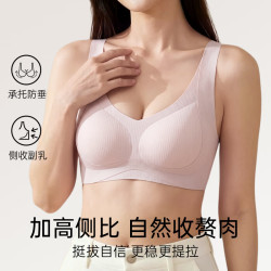 浪莎 内衣女无痕文胸聚拢收副乳防下垂调整型大胸显小显瘦美背胸罩 豆沙 M
