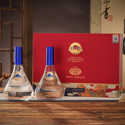 泸州老窖 52度浓香型白酒 500mL*2瓶 礼盒装