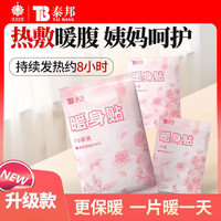 云南白药泰邦 暖贴暖宝宝 暖身贴 10片*2盒