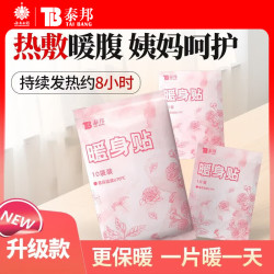 云南白药泰邦 暖贴暖宝宝 暖身贴 10片*2盒