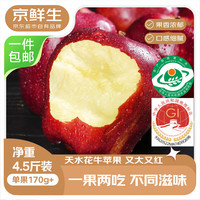 京鲜生 甘肃天水花牛苹果 2kg 单枚190g起 源头直发