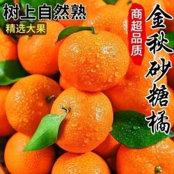蓝君 很甜金秋砂糖橘云南砂糖橘沙糖桔小橘子精品新鲜水果当季整箱包邮