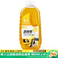 易驹 洗车液水蜡 金棕蜡 2斤 汽车美容清洁剂