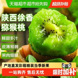 京运达 陕西徐香绿心猕猴桃