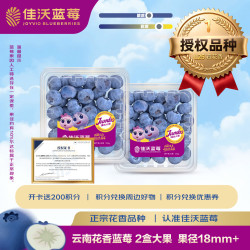佳沃 云南当季蓝莓大果18mm+ 2盒装 约125g/盒 新鲜水果