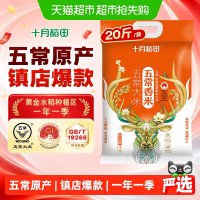 十月稻田 五常香米 东北大米