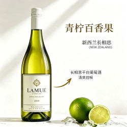 INCANTO 金奖新西兰马尔堡产区长相思sauvignon blanc干白葡萄酒配香槟杯 岚沐星空长相思单支装