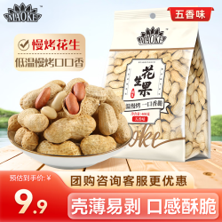 洽洽 五香味花生米 400g 坚果炒货