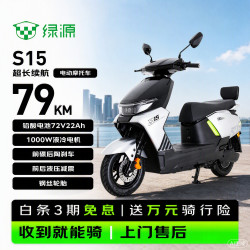 绿源 电动摩托车S15新款电动摩托车成人高速强动力电动车超长续航通勤代步外卖车智能电摩 太空银F1