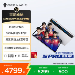 红魔 努比亚红魔游戏平板5Pro 185Hz高刷OLED屏RGB水冷散热 第五代骁龙8至尊版 银翼 12GB+256GB