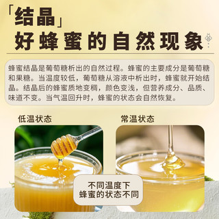 冠生园 百花蜂蜜 428g*2瓶