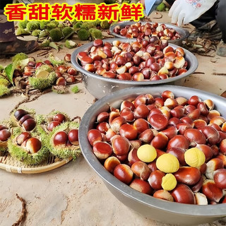 黄六爷 丹东板栗 28-32mm大果 带箱5斤
