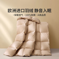 乐蜗家纺 罗莱家纺 加厚保暖羽绒被鸭绒被欧洲进口床上用品被子被芯 科技阻螨羽绒冬被 220x240cm