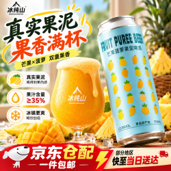 冰纯山 国产精酿西打啤酒芒果菠萝果泥啤酒低度果酒送礼