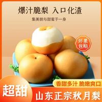 月亮妹妹 秋月正宗山东当季多汁新鲜水果产地冰糖整箱梨子薄皮批发包邮