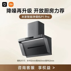 米家 P1 Pro系列 CXW-165-MJ04C 侧吸式吸油烟机 星辰银