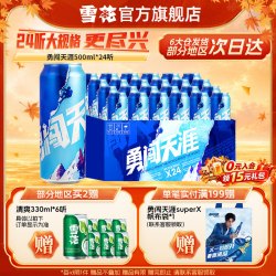 雪花 BEER 雪花 SNOWBEER BEER BEER 勇闯天涯 啤酒 500ml*24听