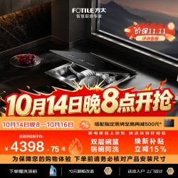 方太 10套大容量 水槽洗碗机  不锈钢