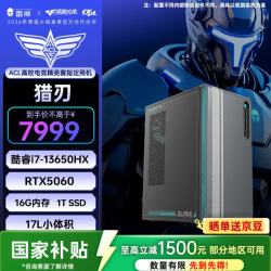 雷神 黑武士·猎刃 游戏设计办公商用17L台式电脑电竞主机(i7-13650HX 16GD5 RTX5060 1TSSD）