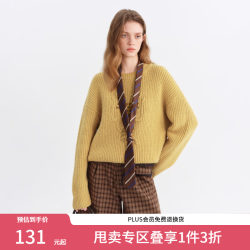 范思蓝恩 复古盘带绣字母刺绣圆领毛衣女2025冬装粗针慵懒针织衫女 黄色 XS