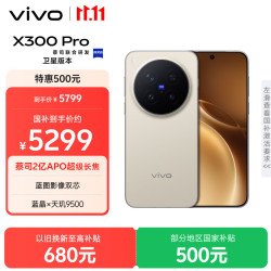 vivo X300 Pro 卫星通信版 5G手机 12GB+512GB 旷野棕