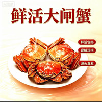 洪泽湖螃蟹 洪泽湖鲜活大闸蟹螃蟹河蟹六月黄香辣蟹毛蟹产地包邮黄多清水蟹 五元蟹0.8-1.1两12只＋2只补死亡