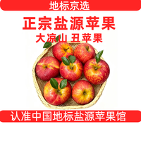 大凉山丑苹果盐源苹果当季鲜果 净重4.5斤大果